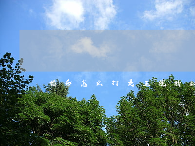 借条怎么打是正规的(如何打借条才是合法的)