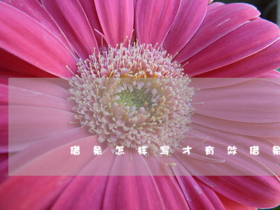 借条怎样写才有效(借条怎么写才生效)