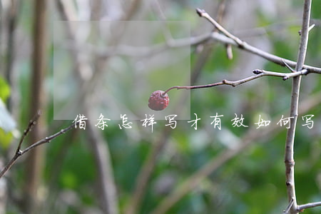借条怎样写才有效(如何写有效的借条)