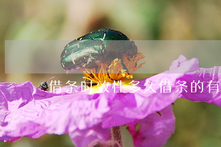 借条时效性多久(借条的有效期限是多久)