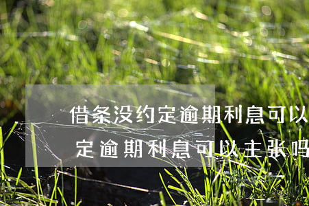 借条没约定逾期利息可以主张吗-借条没约定逾期利息可以主张吗合法吗