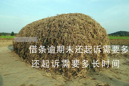 借条逾期未还起诉需要多长时间(借条逾期未还起诉需要多长时间)