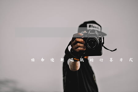 借条逾期还款的计算方式(逾期还款利息计算)