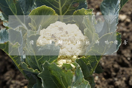 借条逾期还能起诉吗 借条逾期还能起诉吗
