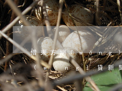 借東方網(wǎng)貸可以逾期嗎(東方網(wǎng)貸新聞)