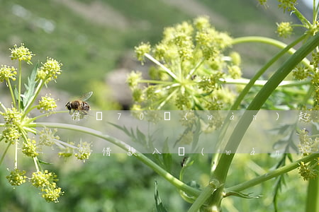 借條70萬(wàn)起訴費(fèi)多少(借款八萬(wàn)的訴訟費(fèi)是多少)