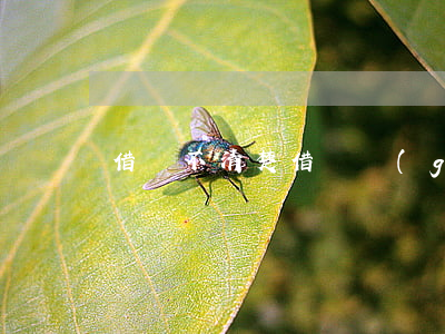 借條不清楚借貸關(guān)系被駁回