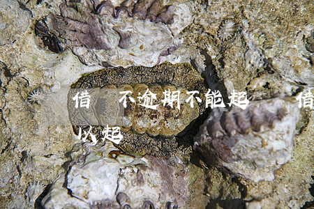 借條不逾期不能起訴嗎(借條借款期限沒到可以起訴嗎)