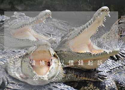 借條可以借錢起訴嗎(借條可以借錢起訴嗎怎么寫)