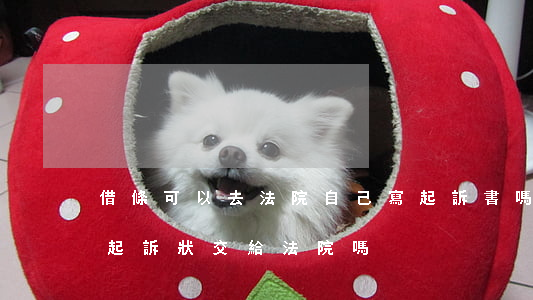 借條可以去法院自己寫起訴書嗎(可以自己寫起訴狀交給法院嗎)