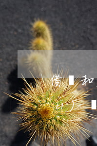 借條和欠條一字之差,在法律上有什么區(qū)別