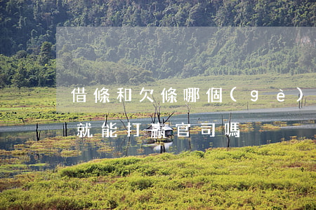 借條和欠條哪個(gè)更好打官司(有借條就能打贏官司嗎)
