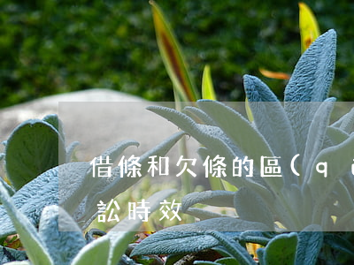 借條和欠條的區(qū)別是什么（欠條的訴訟時效）