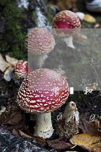 借條和欠條的期限(欠借條有效期多長(zhǎng)時(shí)間)