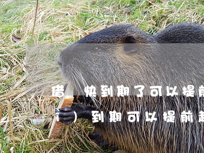 借條快到期了可以提前起訴嗎(借條沒(méi)到期可以提前起訴嗎)