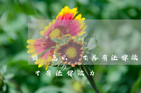 借條怎么寫才具有法律效力(借條要怎么樣寫才有法律效力?)