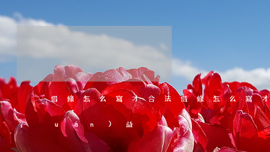 借條怎么寫才合法(借條怎么寫才合法權(quán)益)
