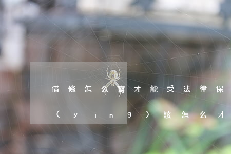 借條怎么寫才能受法律保護(hù)(借條應(yīng)該怎么,才受到法律的保護(hù))