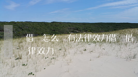 借條怎么寫有法律效力(借錢借條怎么寫有法律效力)