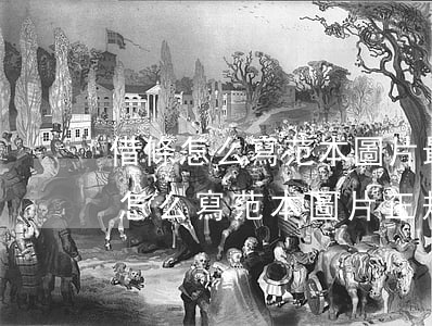 借條怎么寫范本圖片最正規(guī)(借條怎么寫范本圖片 正規(guī) 法律效力)