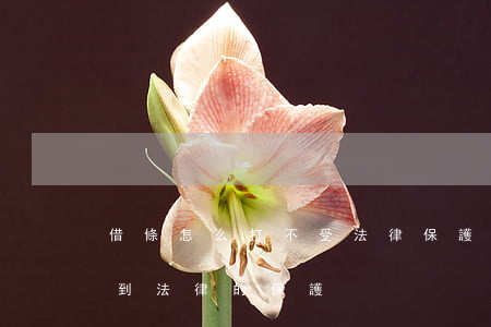 借條怎么打不受法律保護(借條應該怎么,才受到法律的保護)