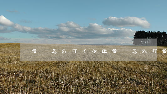 借條怎么打才合法(借錢怎么打借條合法)