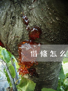 借條怎么打是正確的(借條怎么打?)