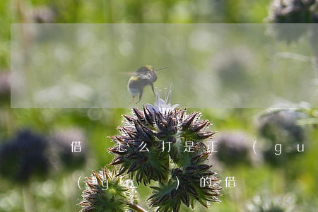 借條怎么打是正規(guī)的(怎樣打正規(guī)的借條)