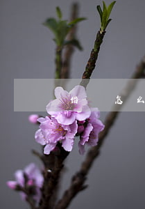 借條怎么打有效(借條如何打才有效)