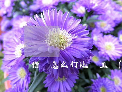 借條怎么打比較正規(guī)