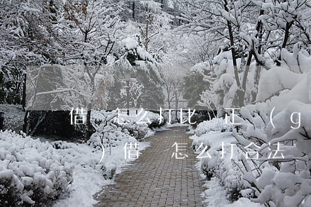 借條怎么打比較正規(guī)(正規(guī)借條怎么打合法)