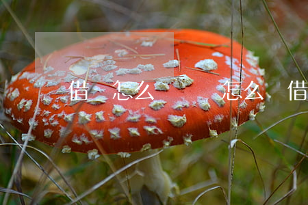借條怎么簡單寫(怎么寫借條?)