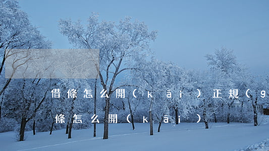 借條怎么開(kāi)(正規(guī)的借條怎么開(kāi))