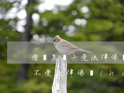 借條怎樣大受法律保護(hù)(什么樣借條不受法律保護(hù))