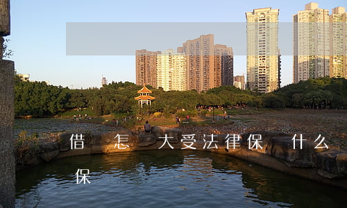借條怎樣大受法律保護(什么樣的借條受法律保護)
