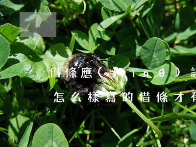 借條應(yīng)該怎么寫才有法律效益(怎么樣寫的借條才有法律效益)