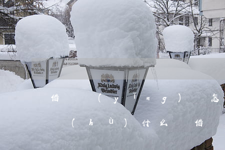 借條應(yīng)該怎么 才受到法律的保護(hù)(什么樣借條不受法律保護(hù))