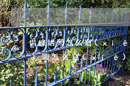 借條抬頭怎么寫(xiě)(借條開(kāi)頭怎么寫(xiě))