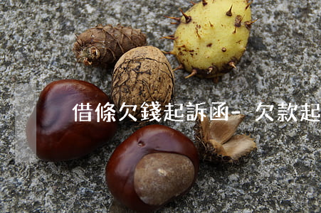 借條欠錢起訴函-欠款起訴函樣板