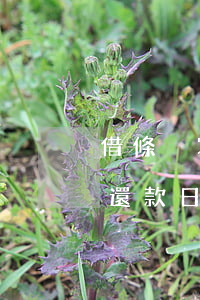 借條沒寫還款日期如何確定逾期-借條沒寫還款日期如何確定逾期了