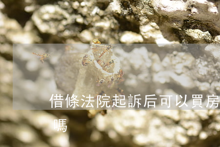 借條法院起訴后可以買房嗎(有借條就能起訴嗎)