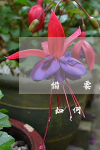 借條要怎樣寫(xiě)才能完能完整(借條如何書(shū)寫(xiě))