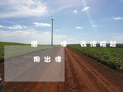 借條讓律師去法院起訴可以嗎(借條怎么寫不用出律師訴訟費)
