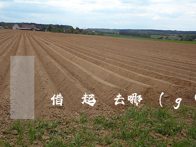 借條起訴去哪個(gè)法院都可以嗎