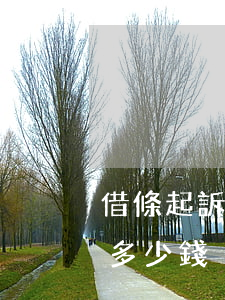 借條起訴律師費用一般多少(借條如何起訴要多少錢)