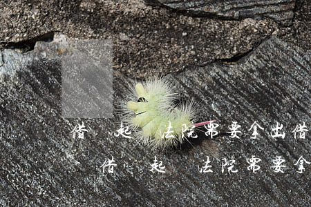 借條起訴法院需要拿出借錢證據(jù)嗎-借條起訴法院需要拿出借錢證據(jù)嗎怎么寫