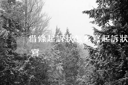 借條起訴狀怎么寫(起訴狀借款的起訴狀怎么寫)