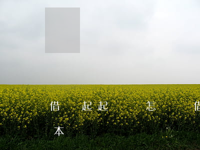 借條起起訴書怎樣寫(借款訴狀書怎么寫有范本嗎)