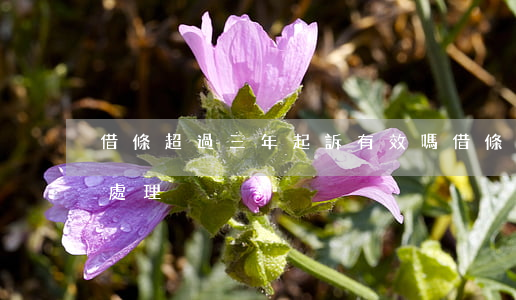 借條超過三年起訴有效嗎(借條超過三年怎么處理)