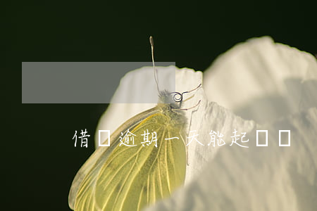 借條逾期一天能起訴嗎